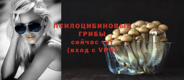 дживик Протвино