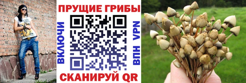 Галлюциногенные грибы Magic Shrooms Дно